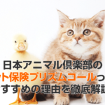 日本アニマル倶楽部のペット保険プリズムコールって？おすすめの理由を徹底解説！