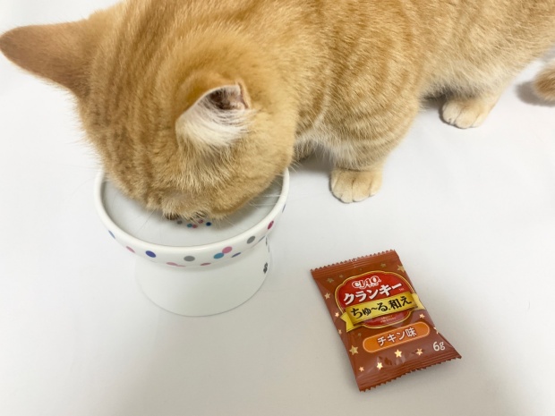 チャオクランキーちゅーる和えチキン味を猫が食べているところ