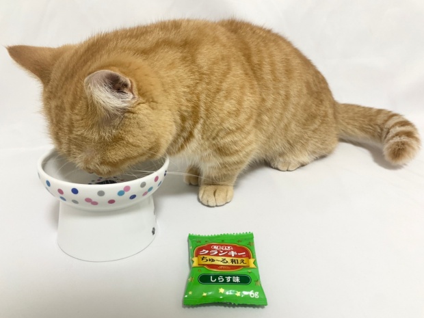 チャオクランキーちゅーる和えしらす味を猫が食べているところ