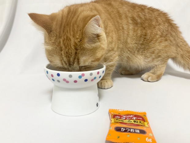 チャオクランキーちゅーる和えかつお味を猫が食べているところ